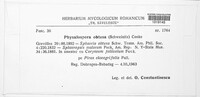 Peyronellaea obtusa image